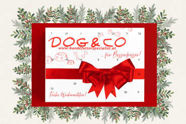 Dog & Co Adventskalender für Hunde